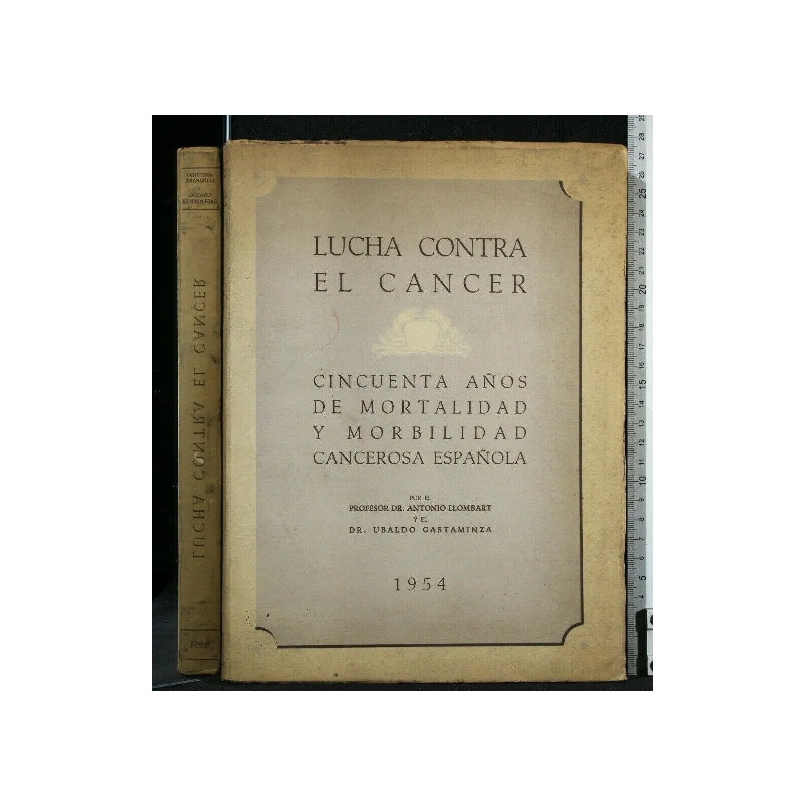LUCHA CONTRA EL CANCER