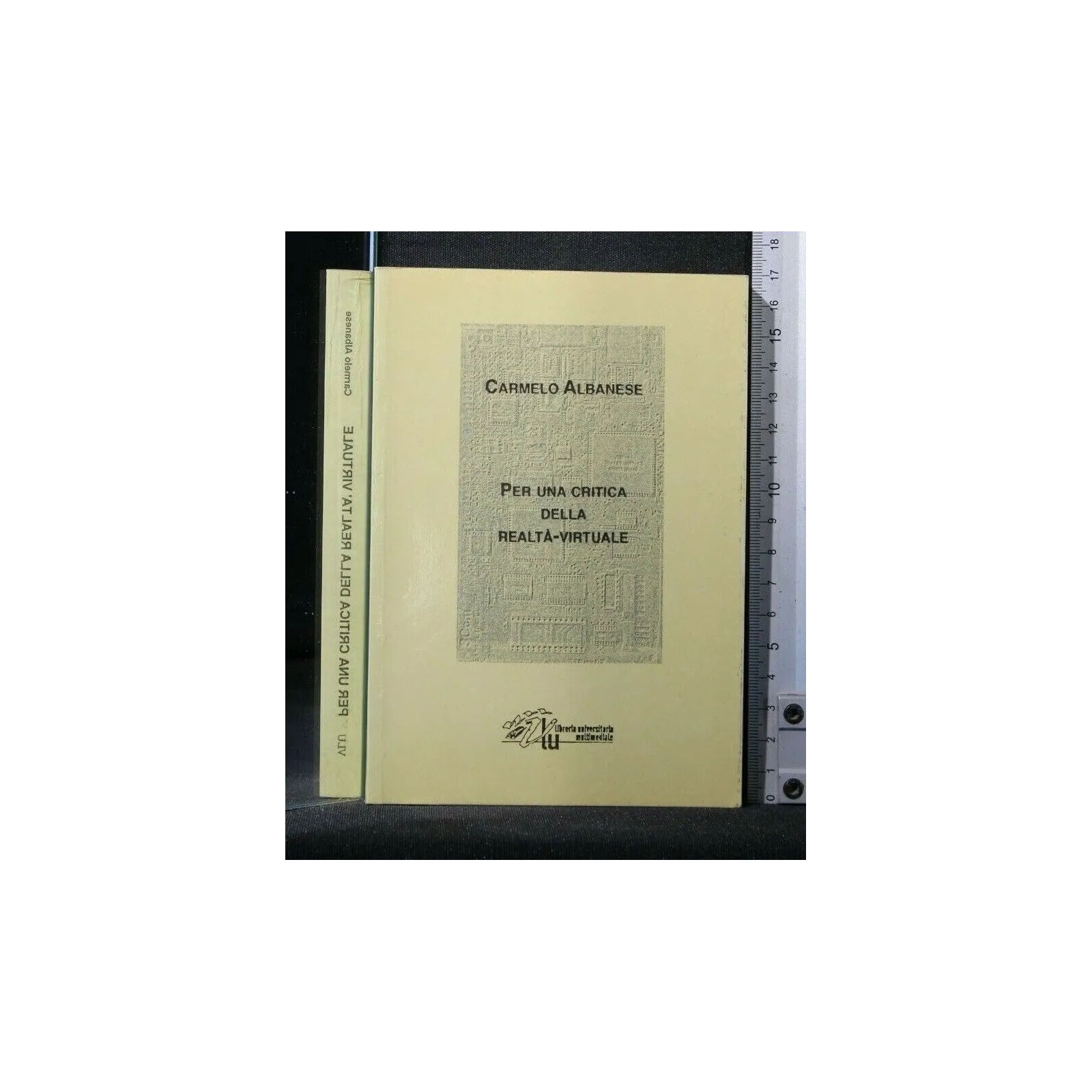 PER UNA CRITICA DELLA REALTA'-VIRTUALE