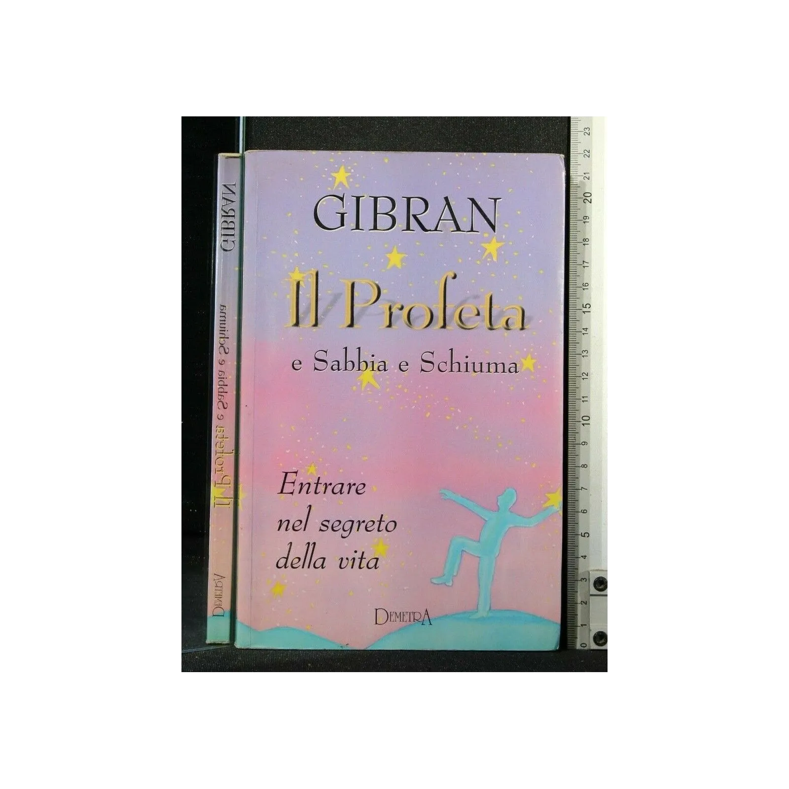 IL PROFETA E SABBIA E SCHIUMA ENTRATE NEL SEGRETO DELLA VITA