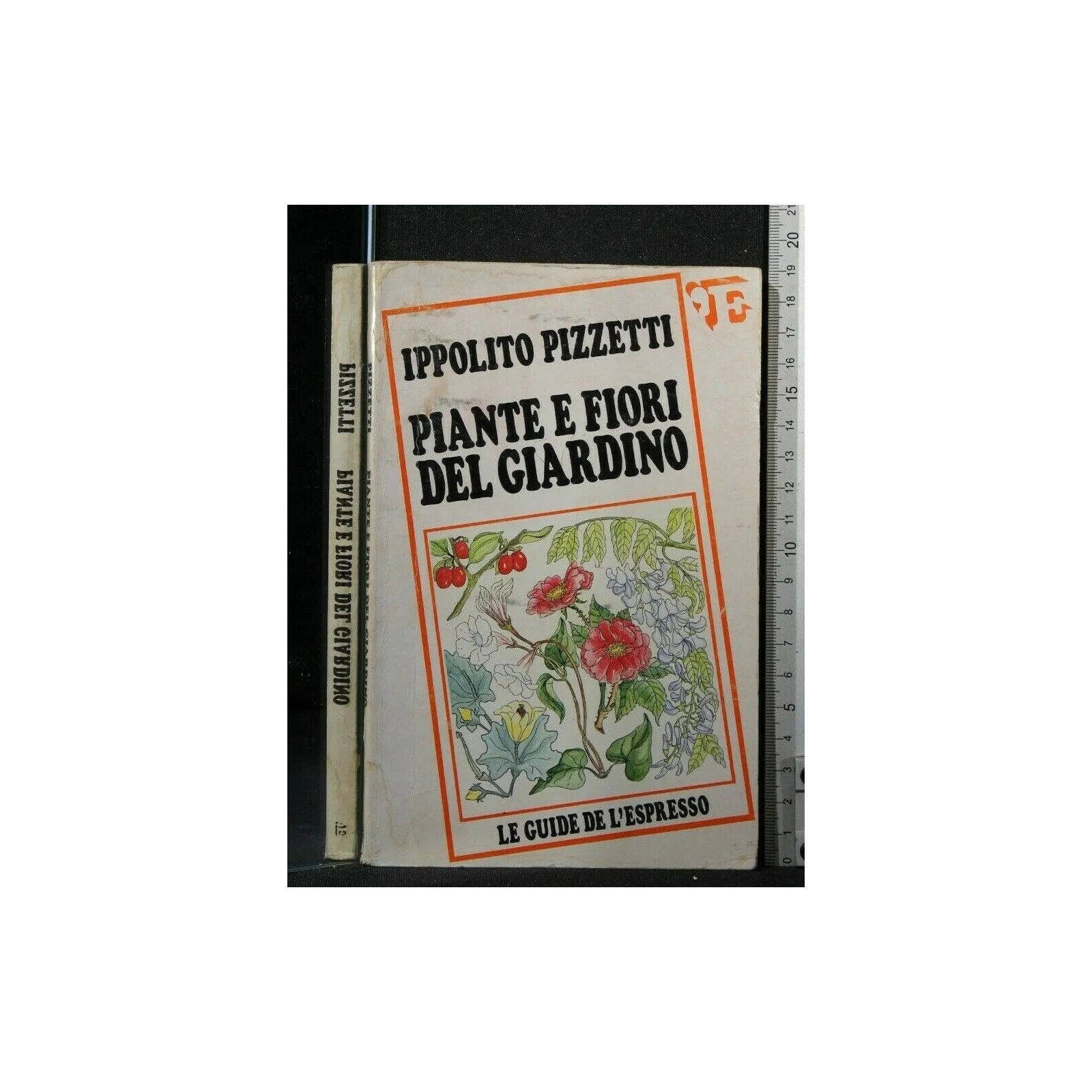 PIANTE E FIORI DEL GIARDINO