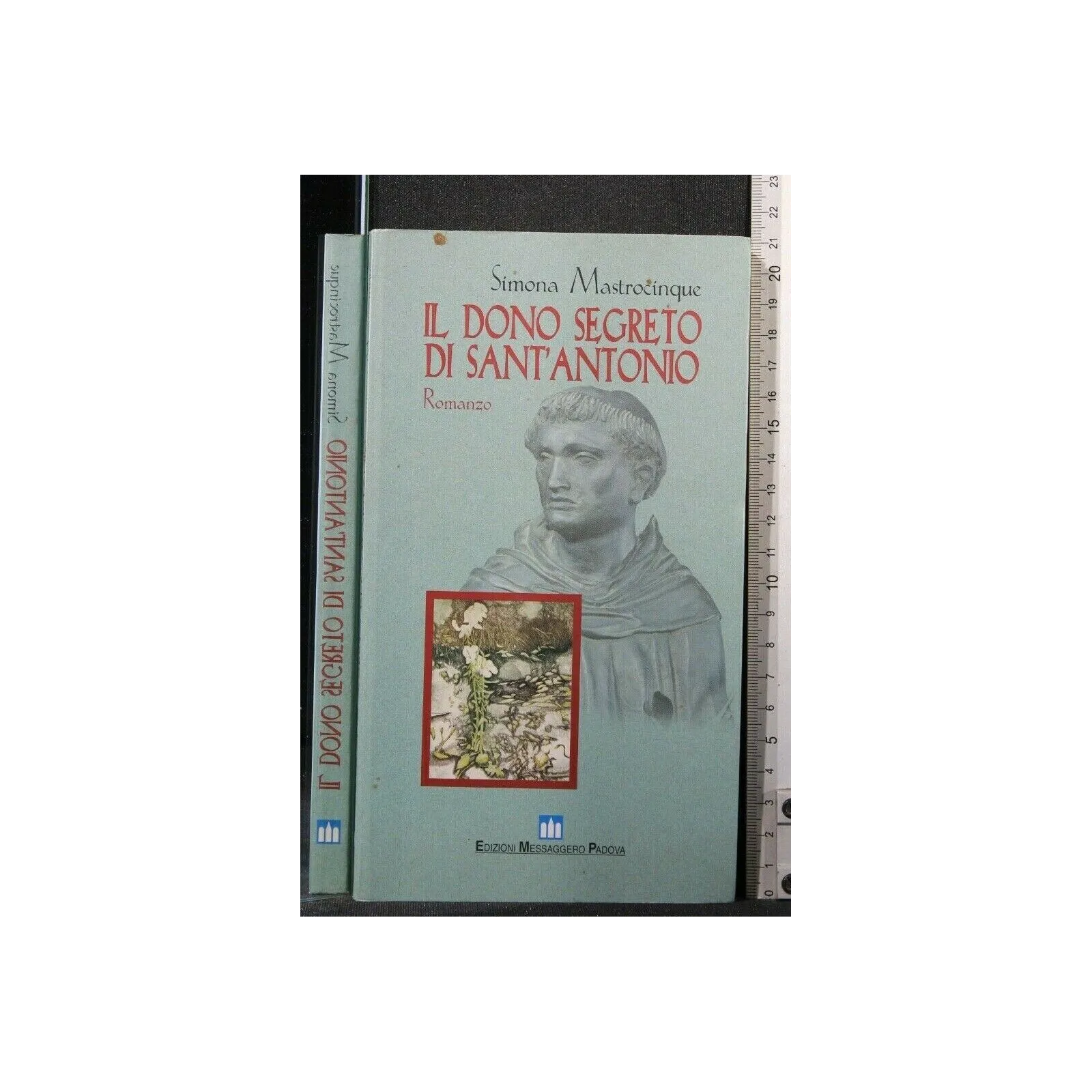 IL DONO SEGRETO DI SANT'ANTONIO