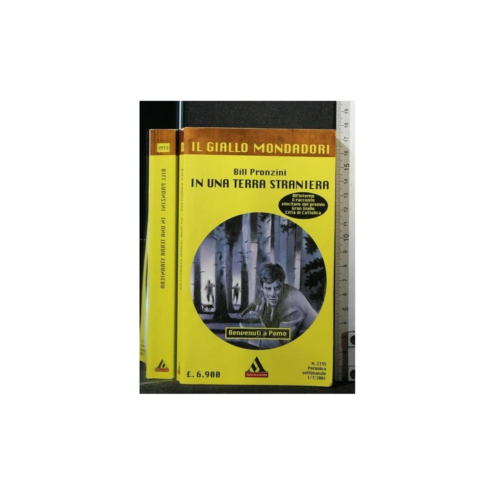 IN UNA TERRA STRANIERA