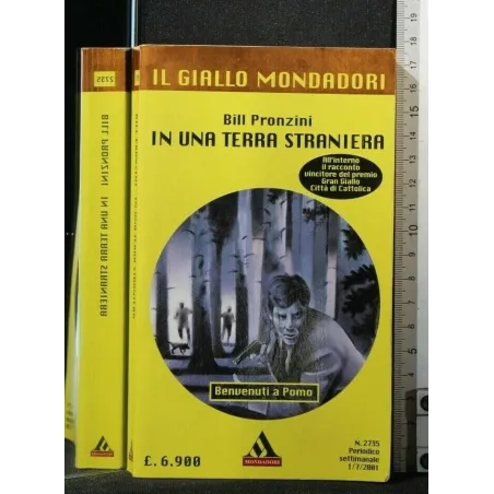 IN UNA TERRA STRANIERA