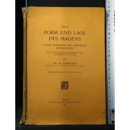 UBER FORM UND LAGE DES MAGENS