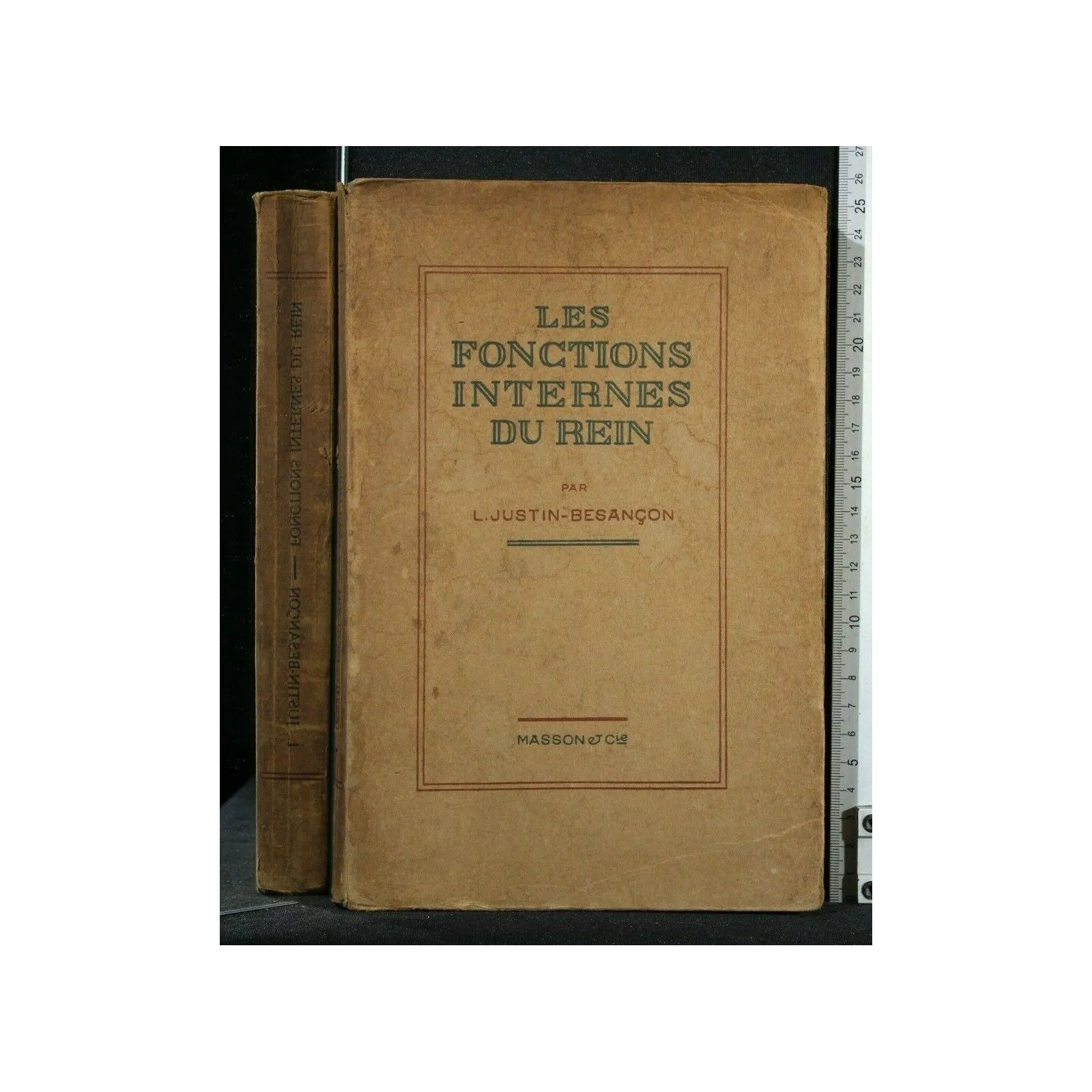 LES FONCTIONS INTERNES DU REIN