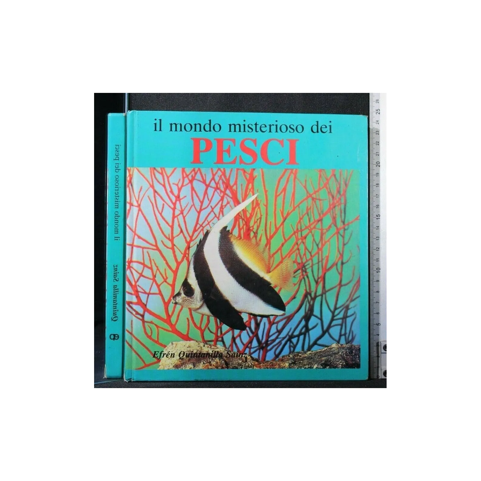 IL MONDO MISTERIOSO DEI PESCI
