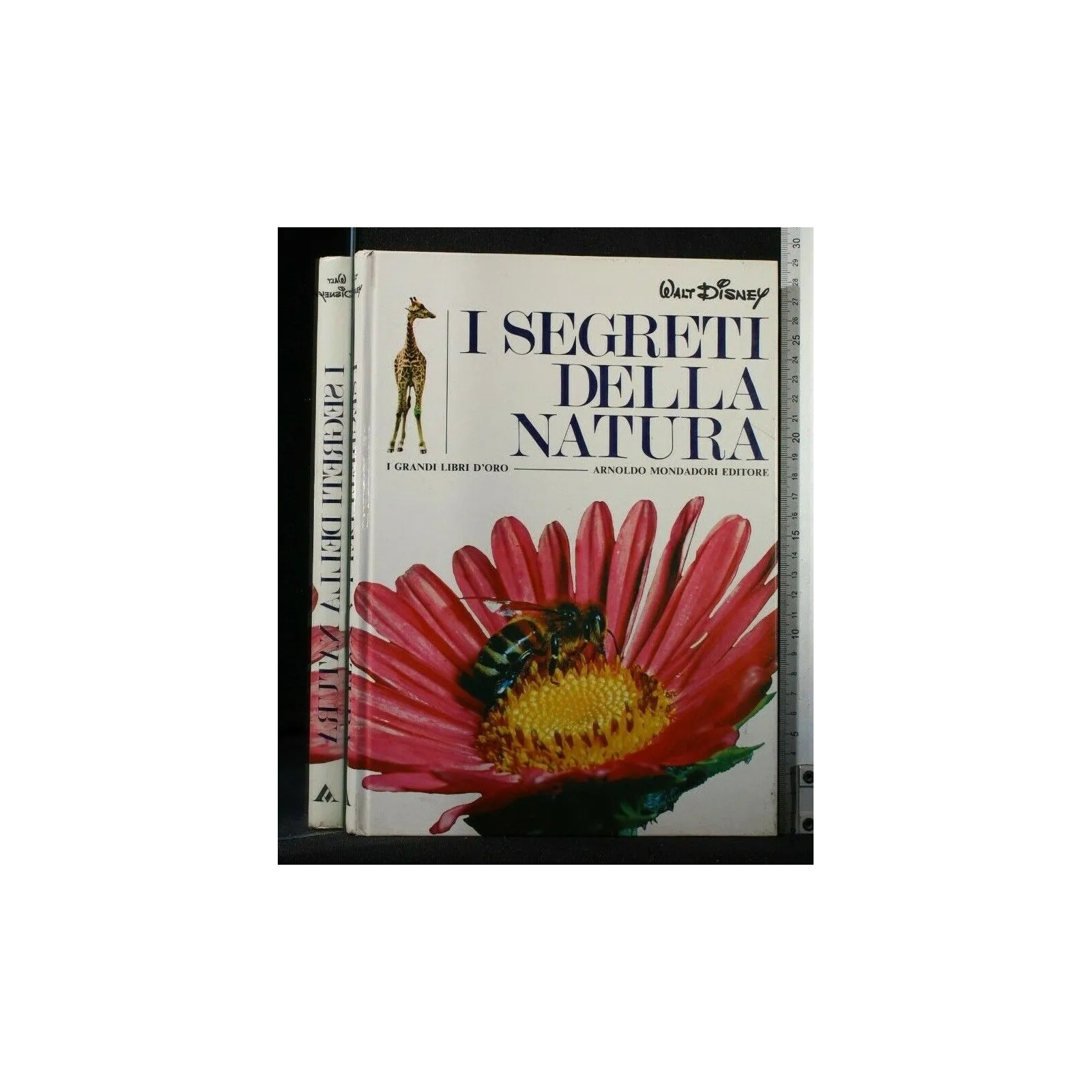 I SEGRETI DELLA NATURA