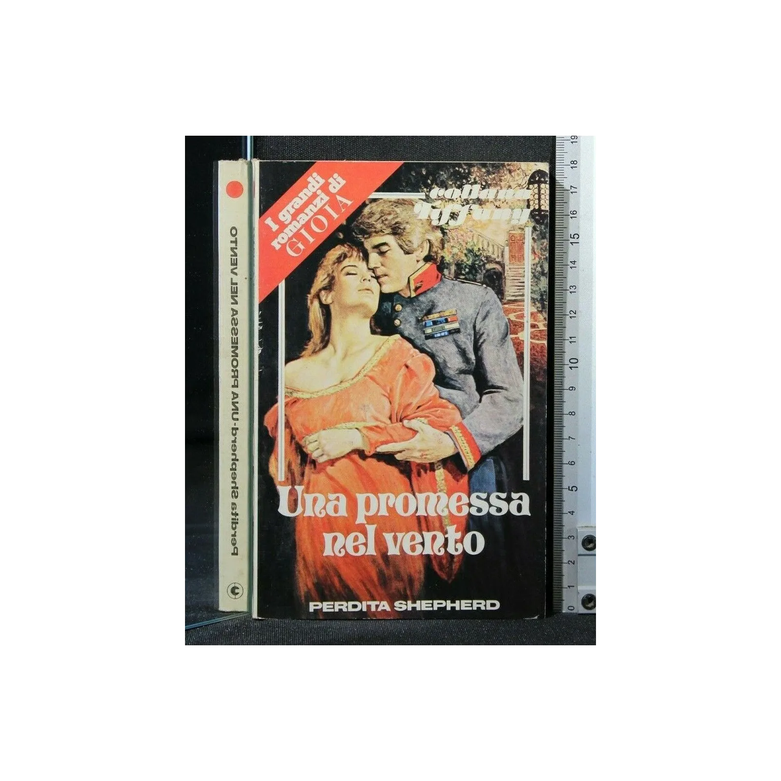 UNA PROMESSA NEL VENTO