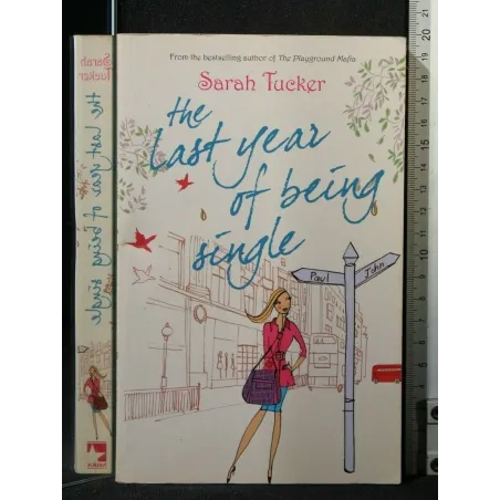 THE LAST YEAR OF BEING SINGLE