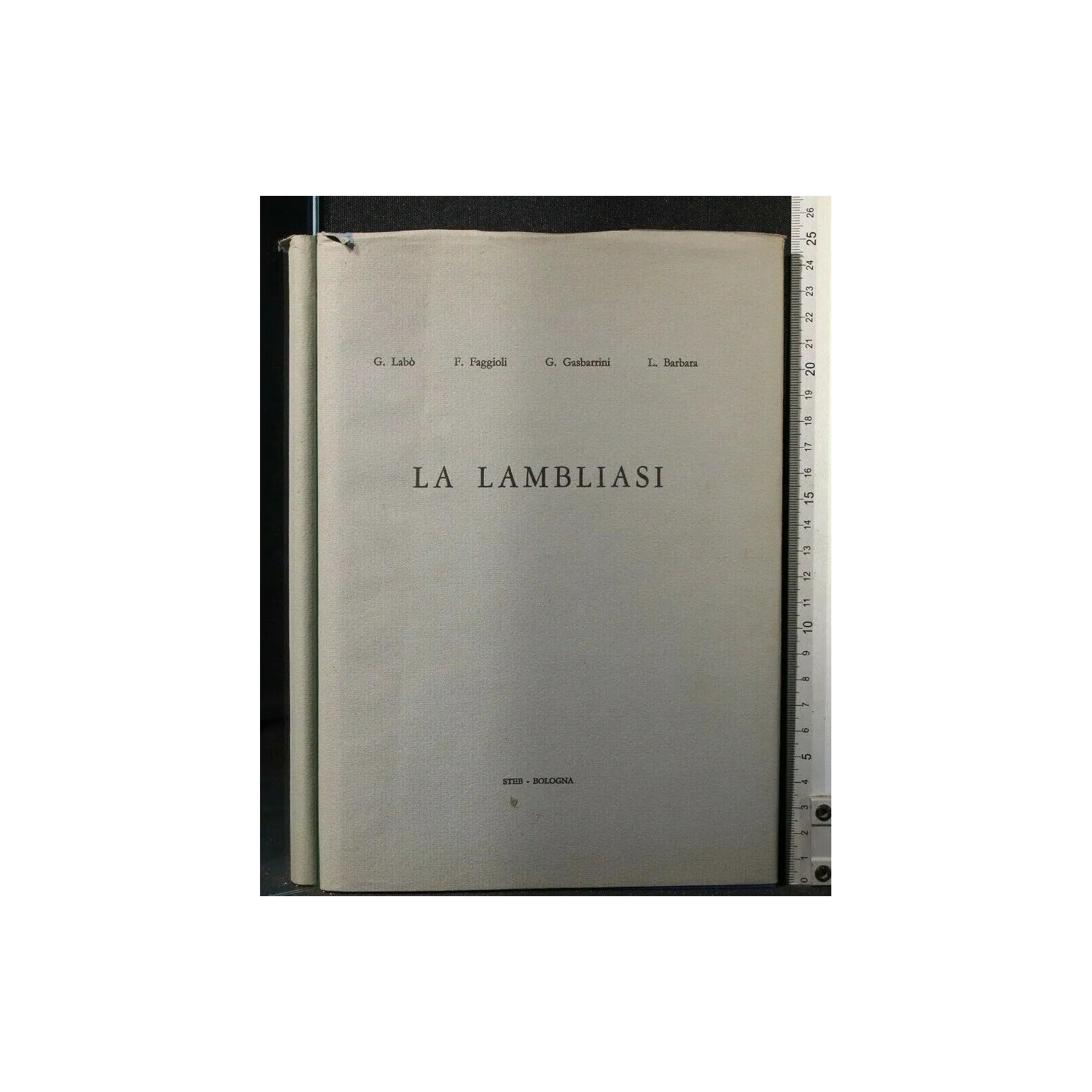 LA LAMBLIASI