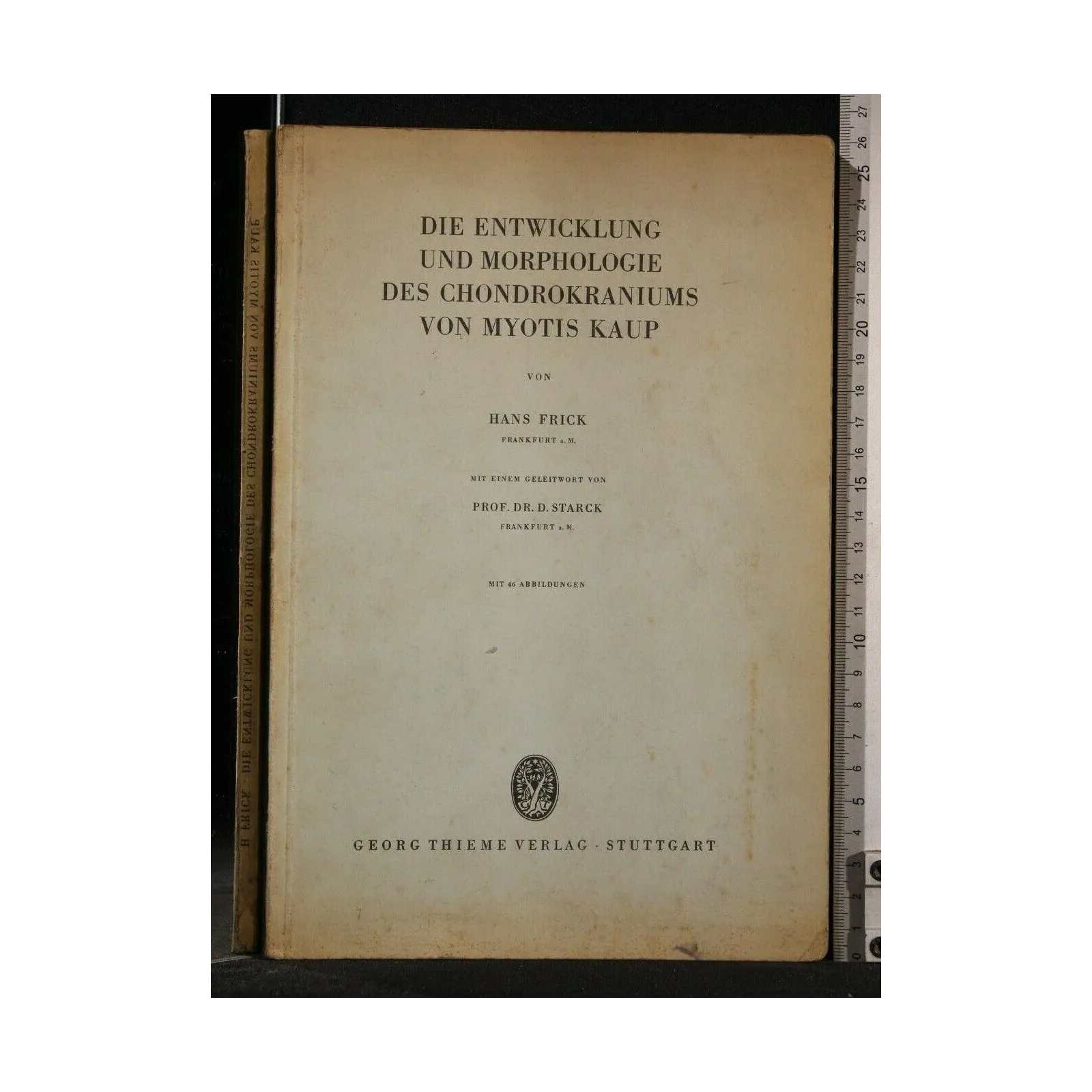 DIE ENTWICKLUNG UND MORPHOLOGIE DES CHONDROKRANIUMS VON MYOTIS