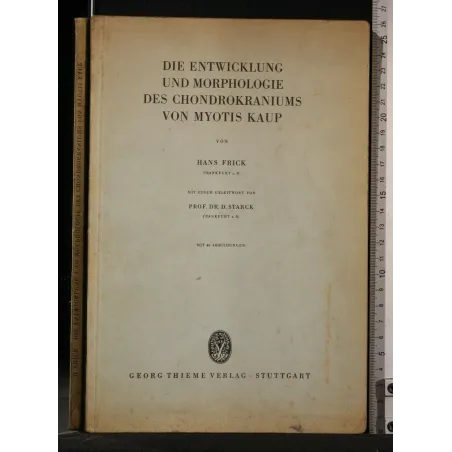 DIE ENTWICKLUNG UND MORPHOLOGIE DES CHONDROKRANIUMS VON MYOTIS