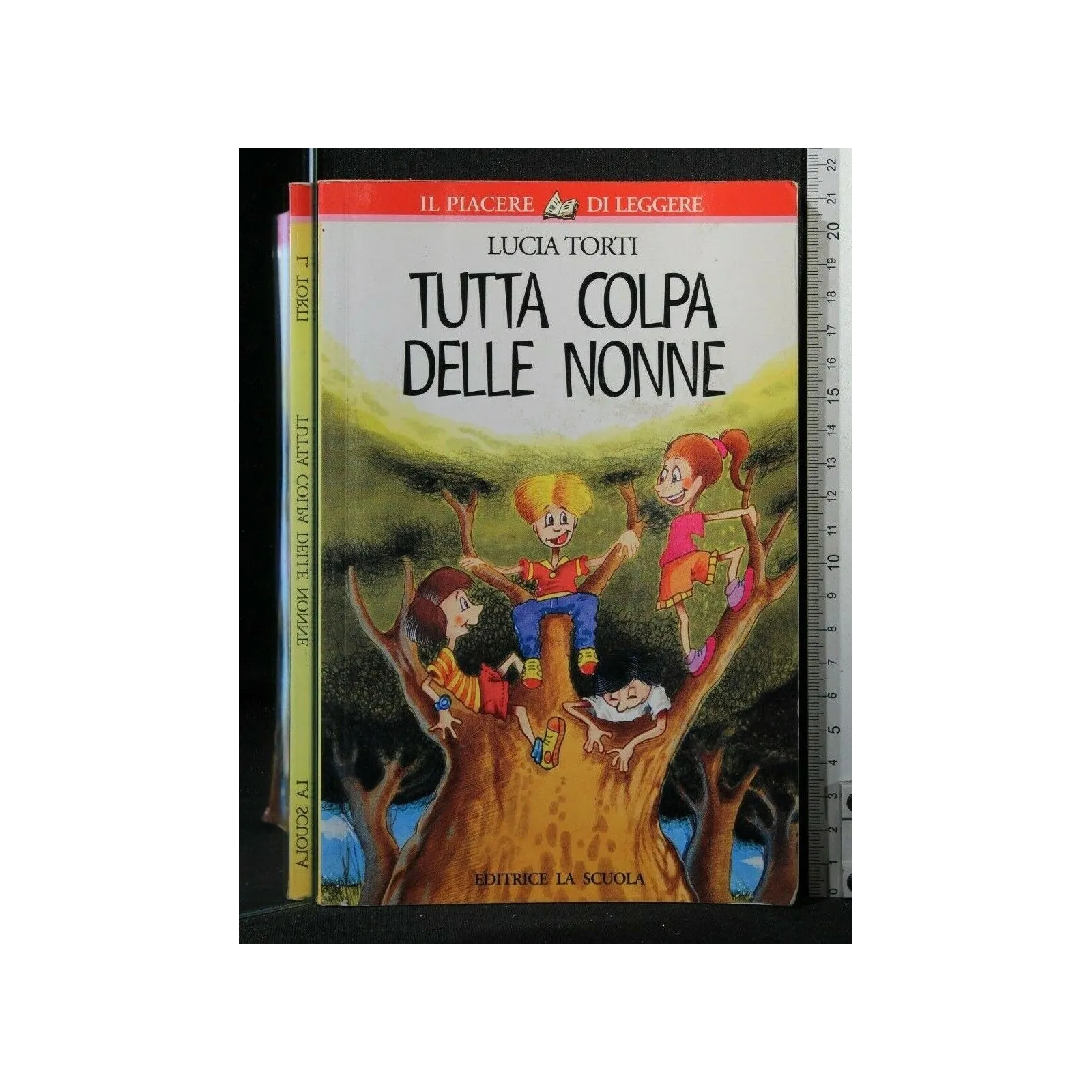 TUTTA COLPA DELLE NONNE