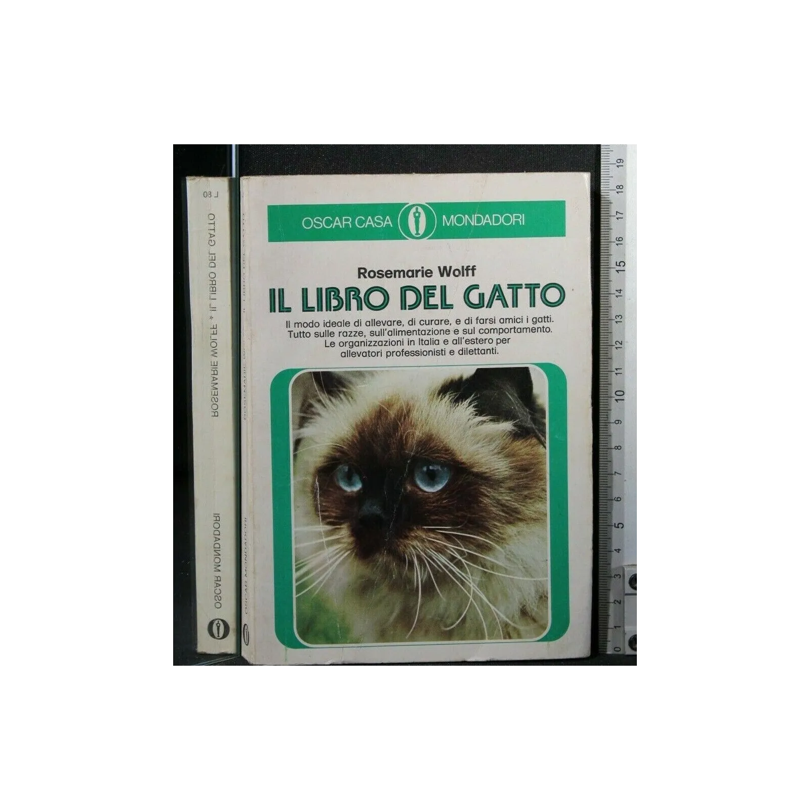 IL LIBRO DEL GATTO