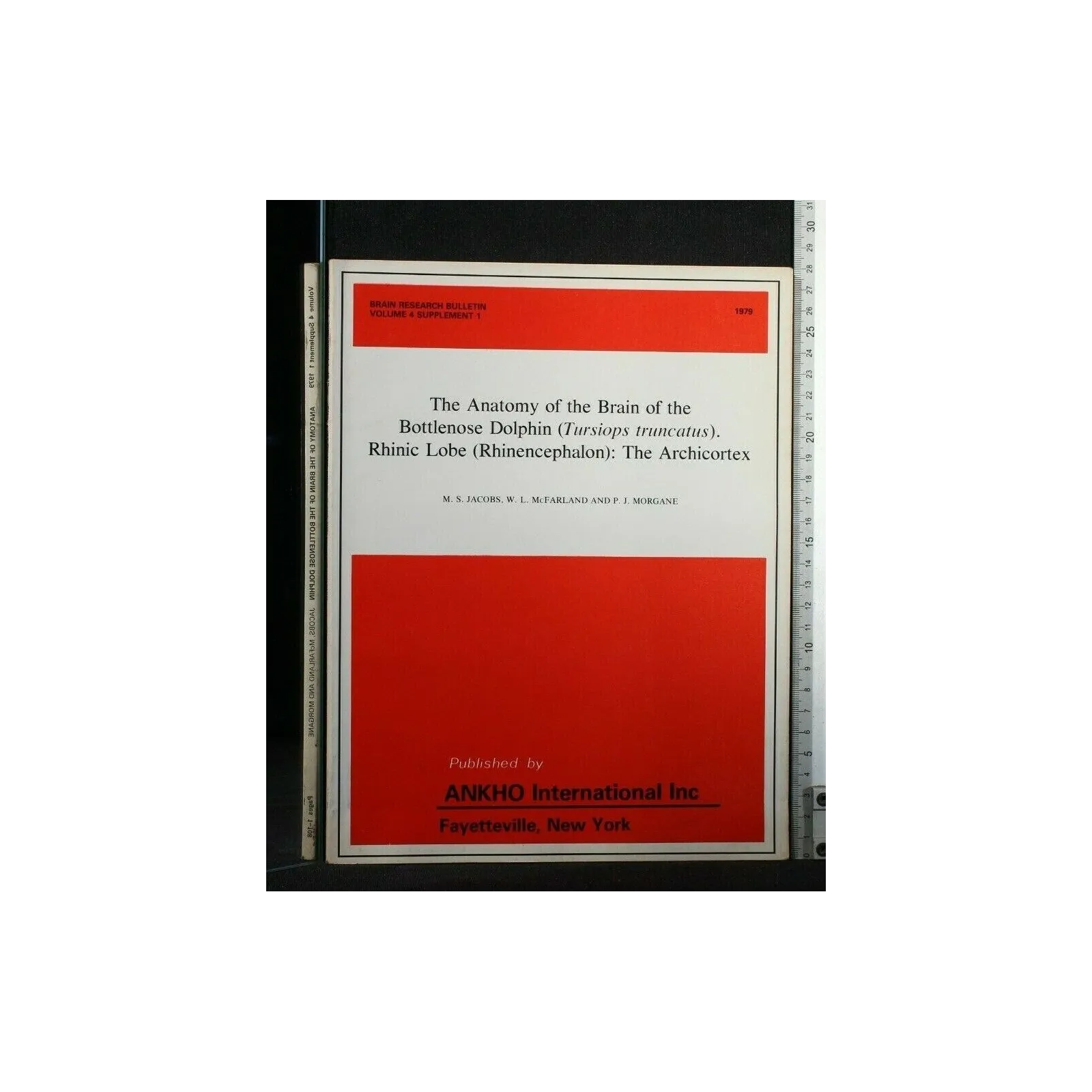 THE ANATOMY OF THE BRAIN OF THE BOTTLENOSE DOLPHIN (TURSIOPS