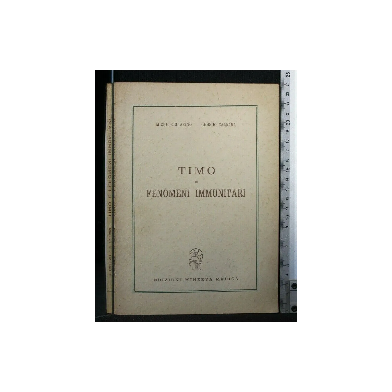 TIMO E FENOMENI IMMUNITARI