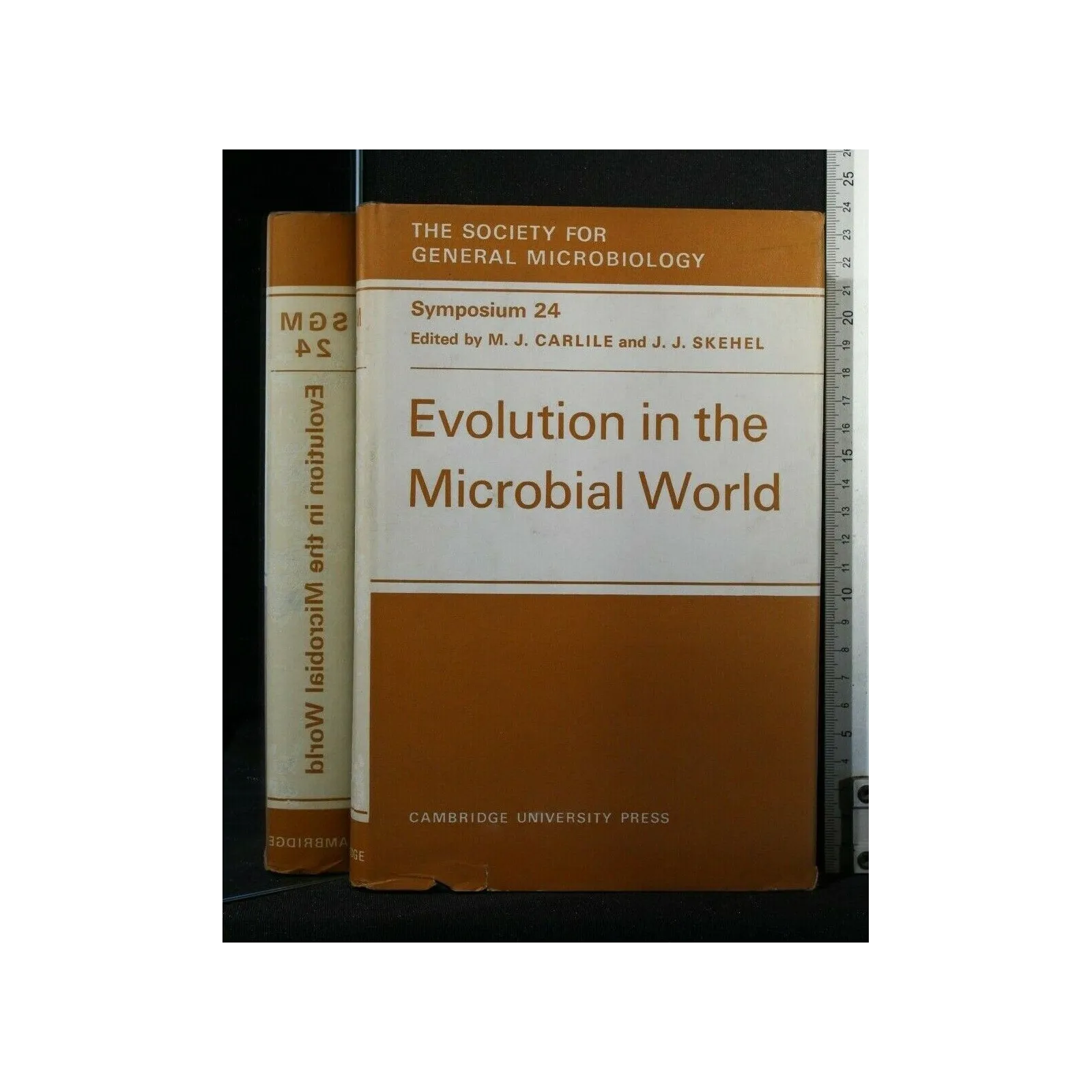 EVOLUTION IN THE MICROBIAL WORLD