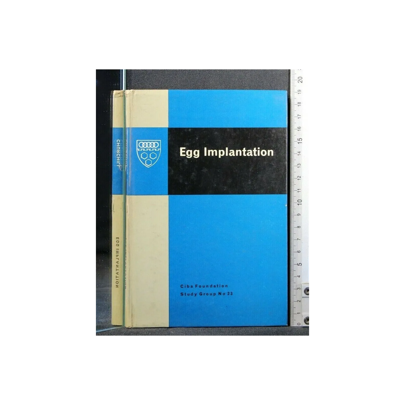 EGG IMPLANTATION