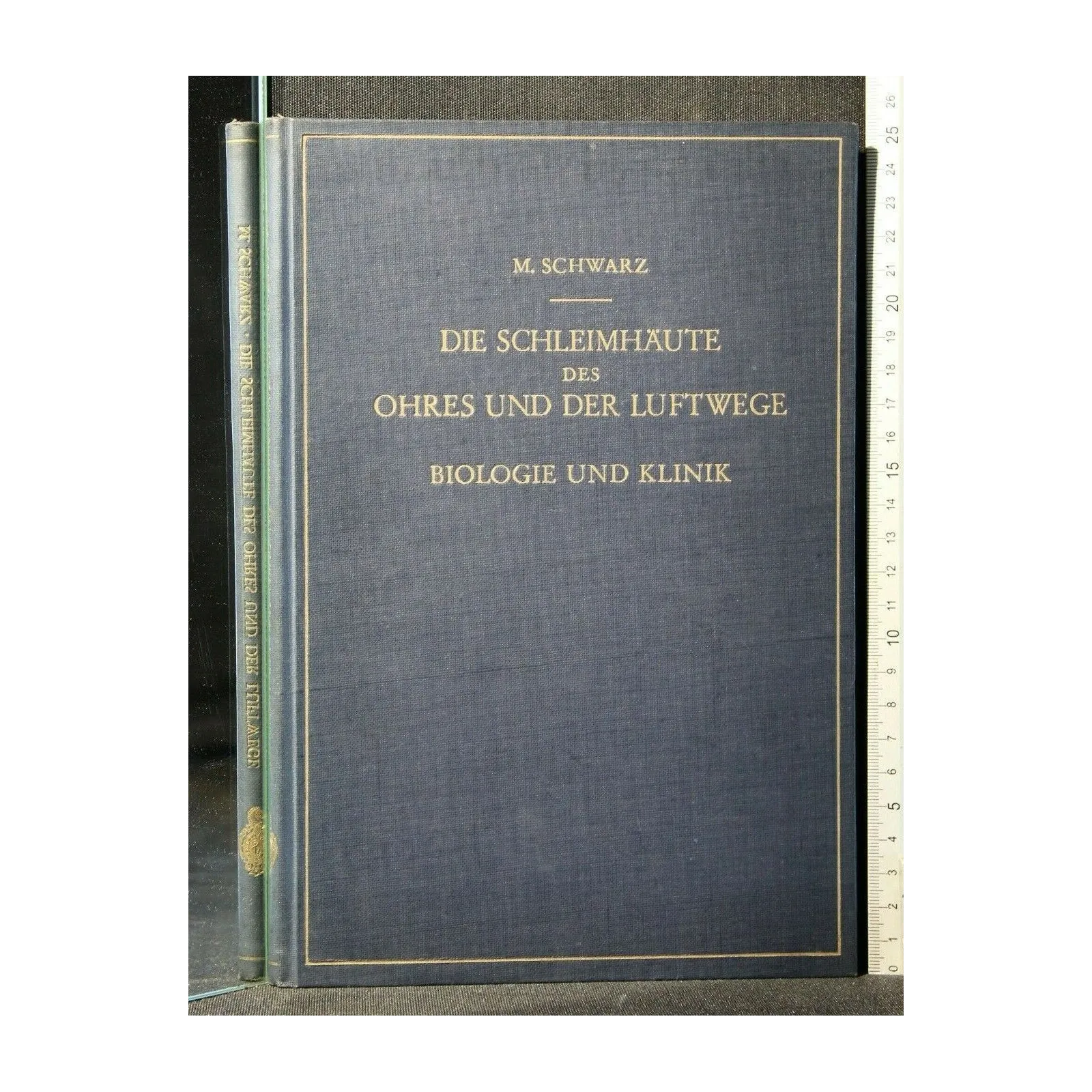 DIE SCHLEIMHAUTE DES OHRES UND DER LUFTWEGE