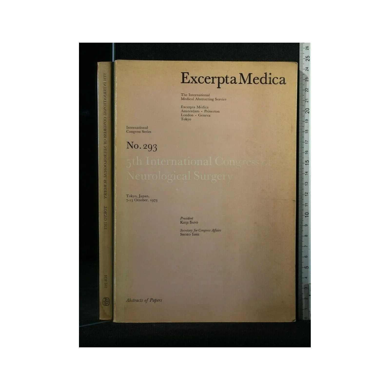 5TH INTERNATIONAL CONGRESS OF NEUROLOGICAL SURGERY N. 293