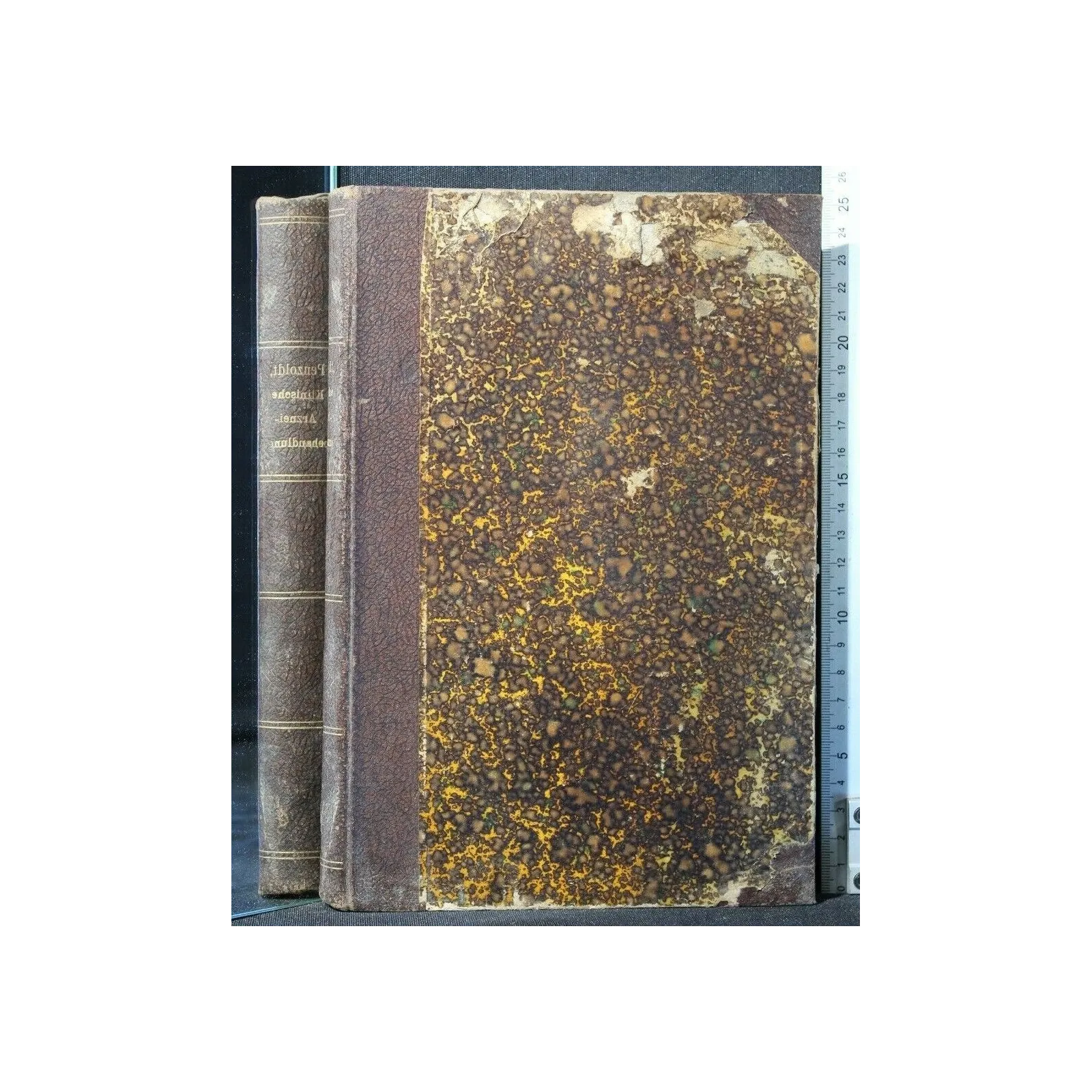 LEHRBUCH DER KLINISCHEN ARZNEIBEHANDLUNG