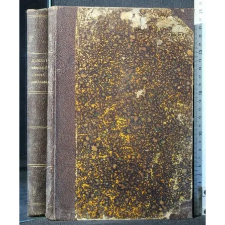 LEHRBUCH DER KLINISCHEN ARZNEIBEHANDLUNG