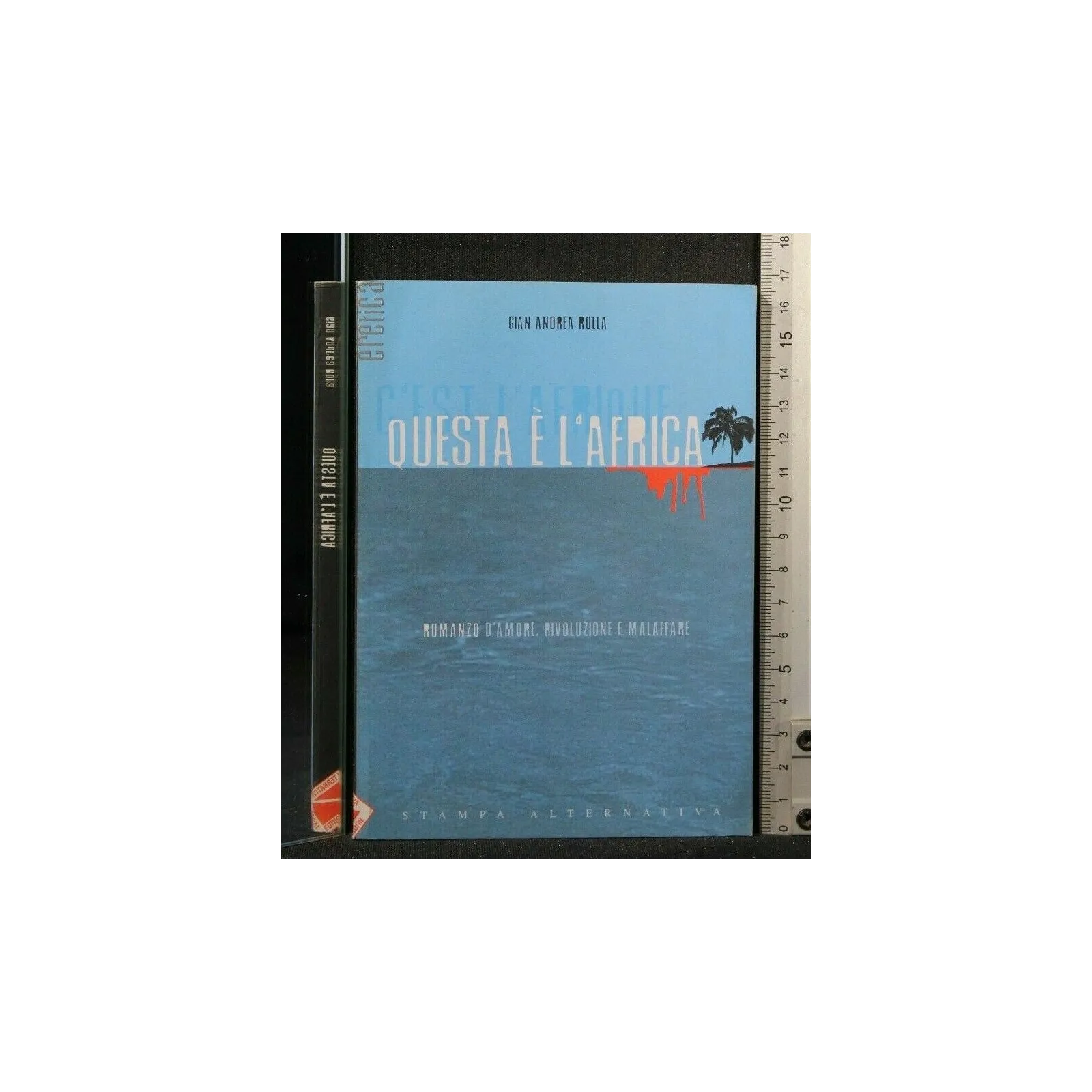 QUESTA E' L'AFRICA