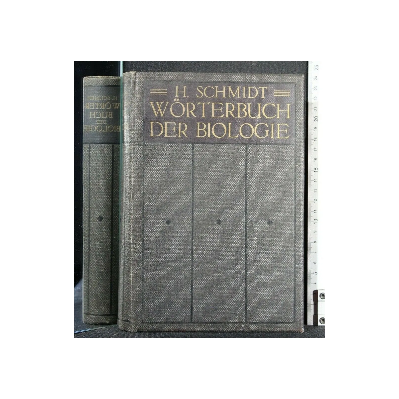 WORTERBUCH DER BIOLOGIE