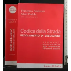 CODICE DELLA STRADA REGOLAMENTO DI ESECUZIONE