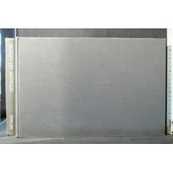 GIOSTRA DEL SARACINO