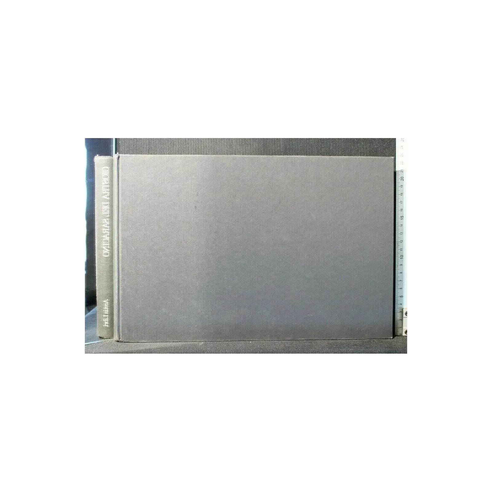 GIOSTRA DEL SARACINO