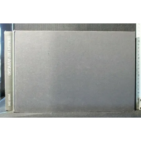 GIOSTRA DEL SARACINO