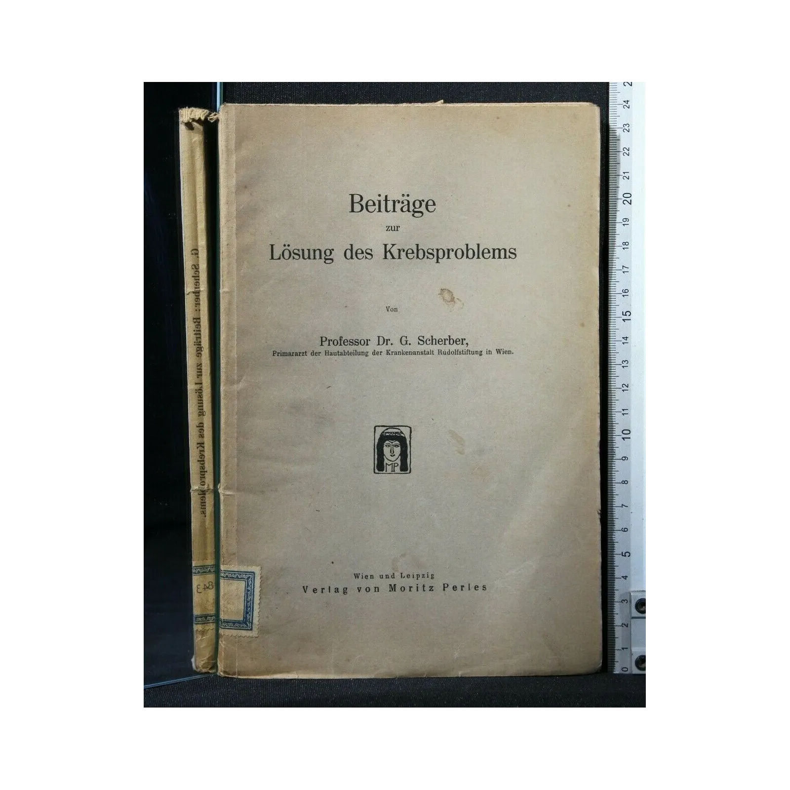 BEITRAGE ZUR LOSUNG DES KREBSPROBLEMS