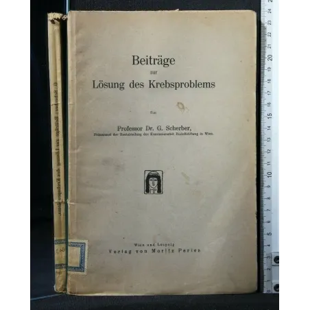 BEITRAGE ZUR LOSUNG DES KREBSPROBLEMS