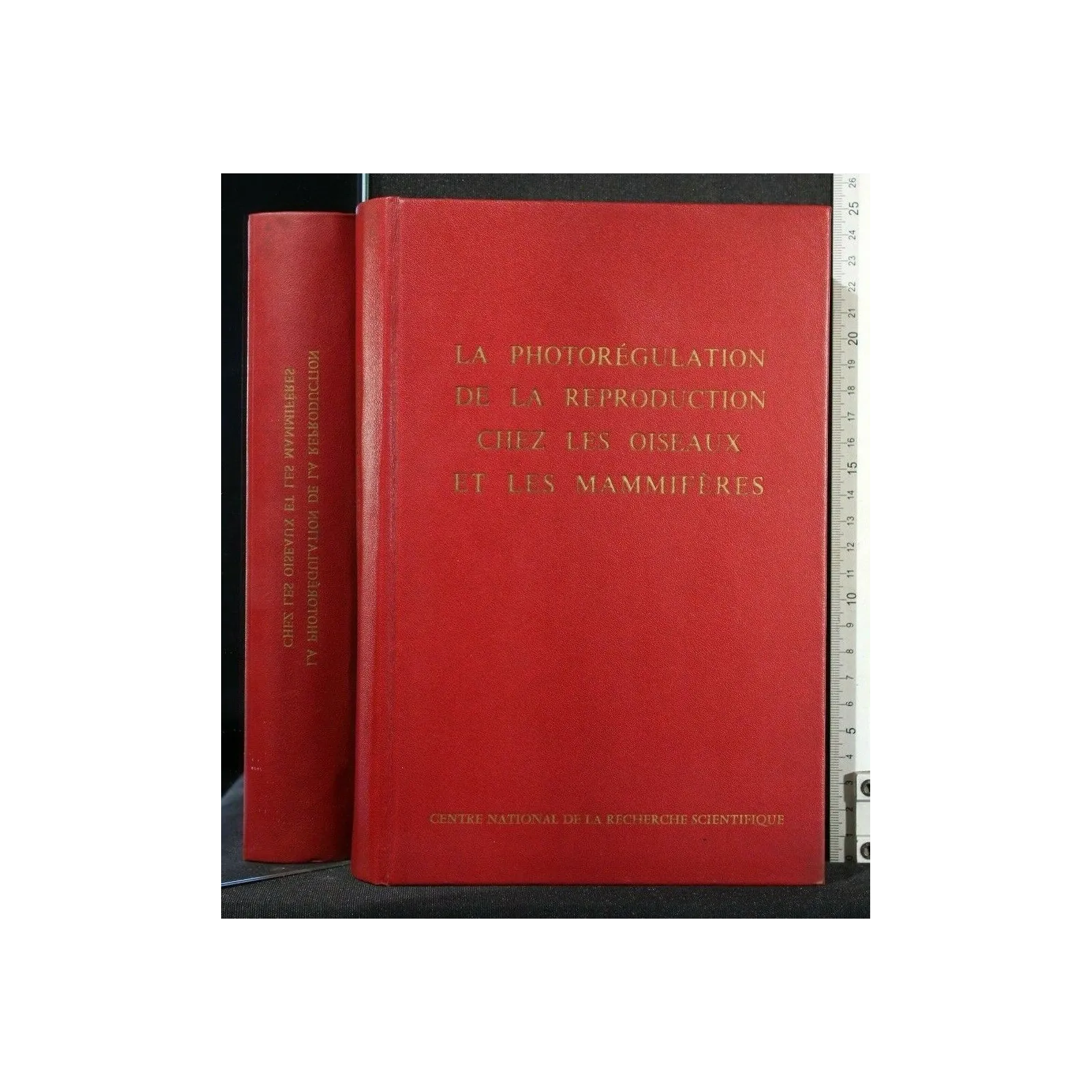 LA PHOTOREGULATION DE LA REPRODUCTION CHEZ LES OISEAUX ET LES