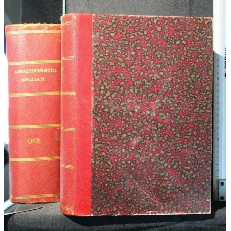 GIURISPRUDENZA ITALIANA GIURISPRUDENZA, LEGISLAZIONE E DOTTRINA