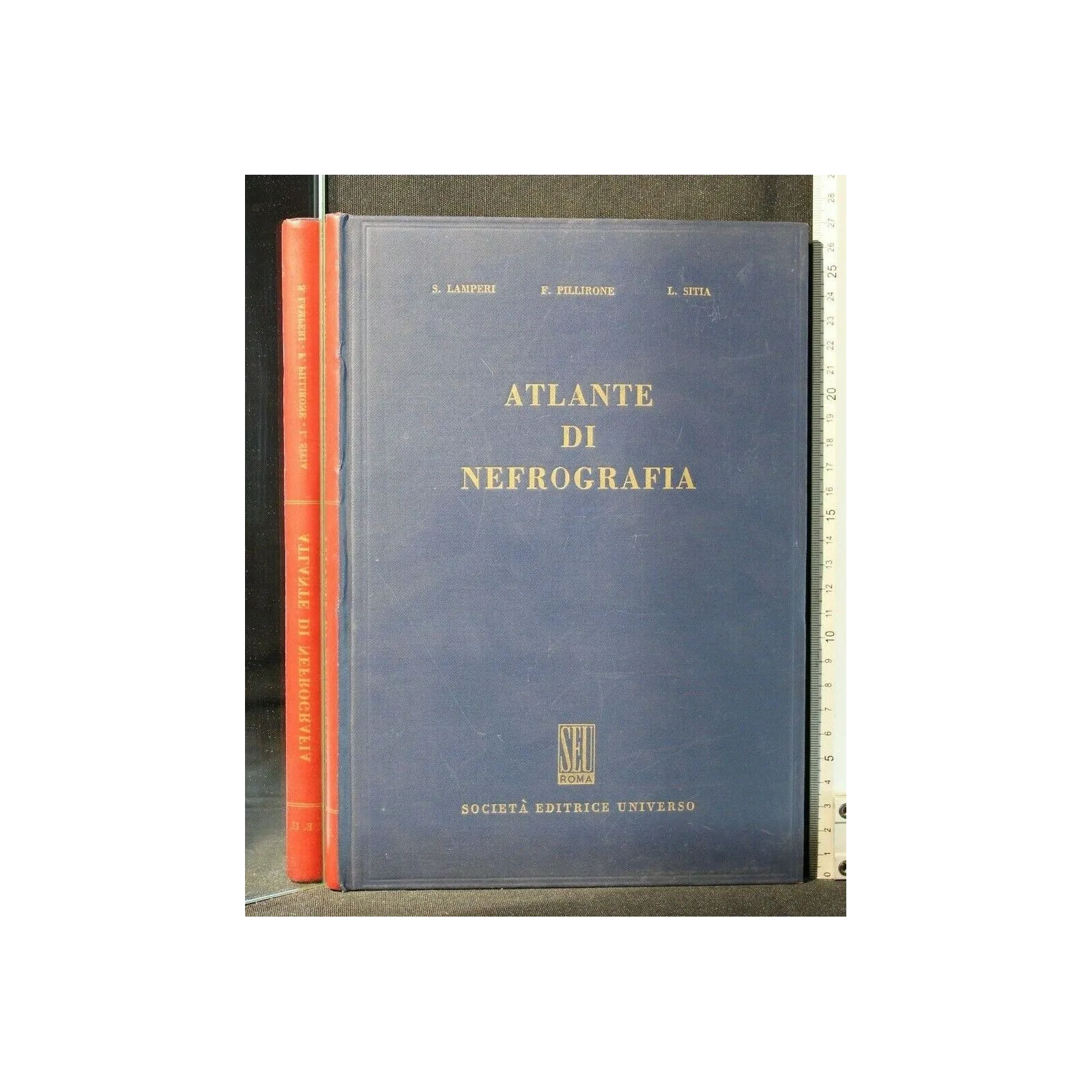 ATLANTE DI NEFROGRAFIA