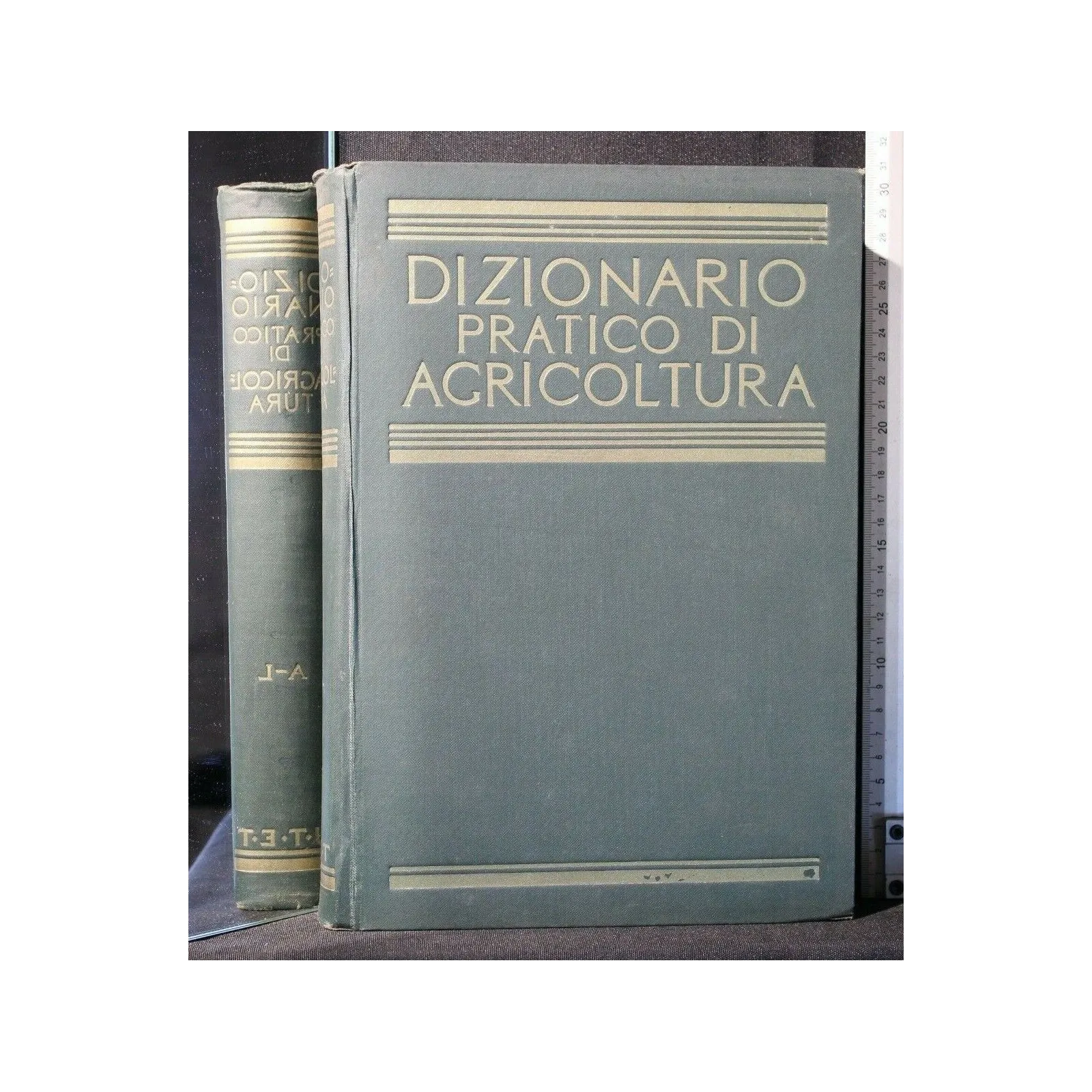 DIZIONARIO PRATICO DI AGRICOLTURA GIARDINAGGIO E INDUSTRIE AGRI