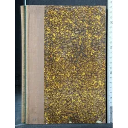 UEBER BAU UND FUNKTION DES PETROMYZONLABYRINTHES