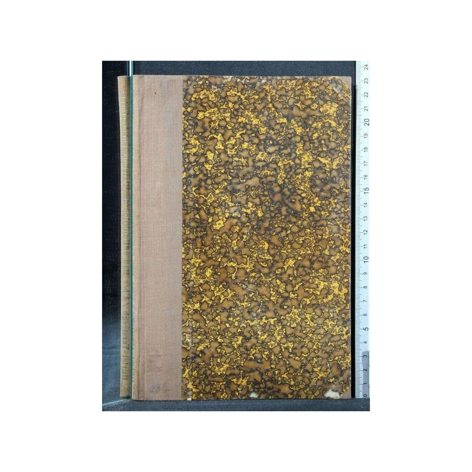 UEBER BAU UND FUNKTION DES PETROMYZONLABYRINTHES