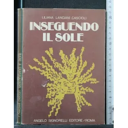 INSEGUENDO IL SOLE
