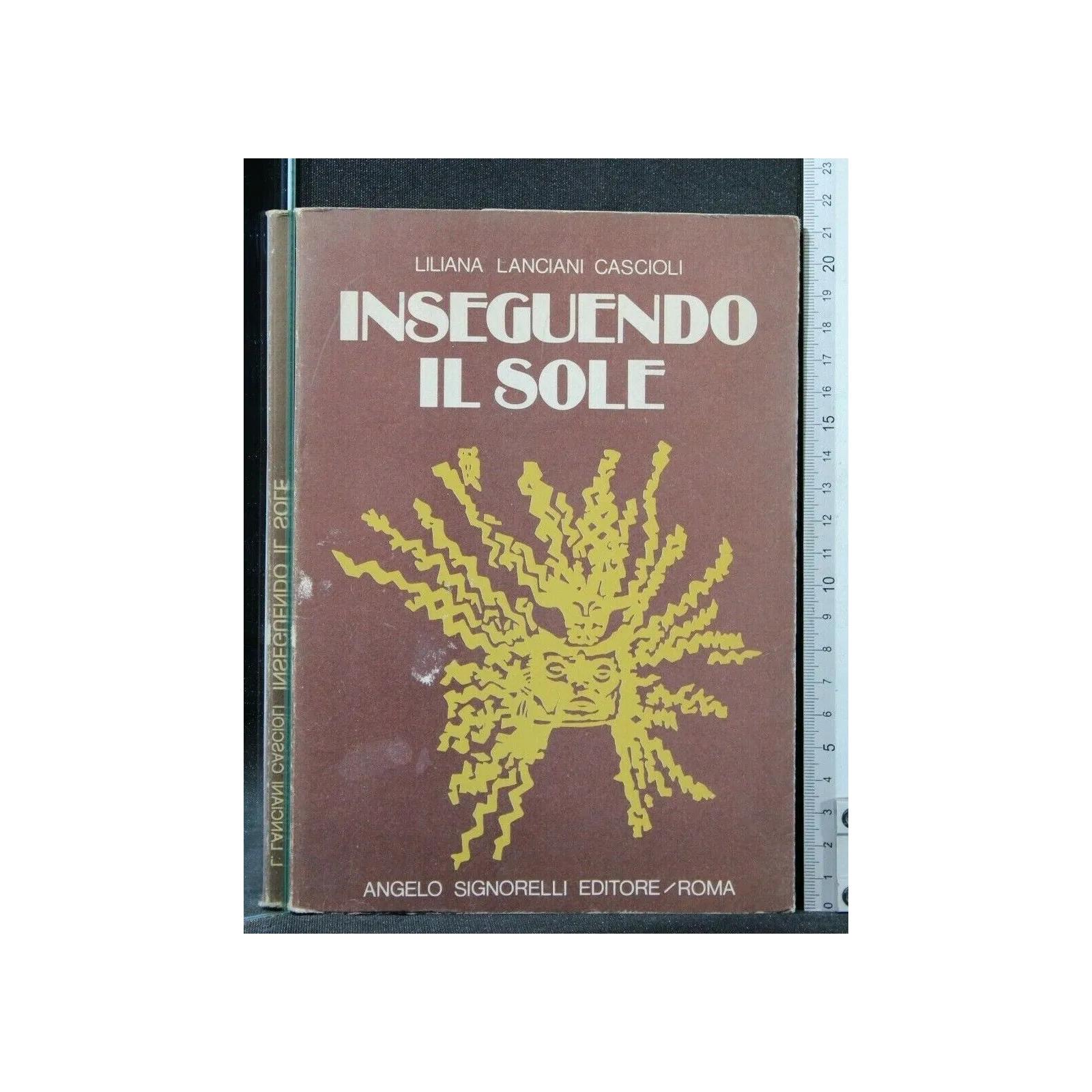 INSEGUENDO IL SOLE