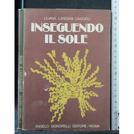 INSEGUENDO IL SOLE