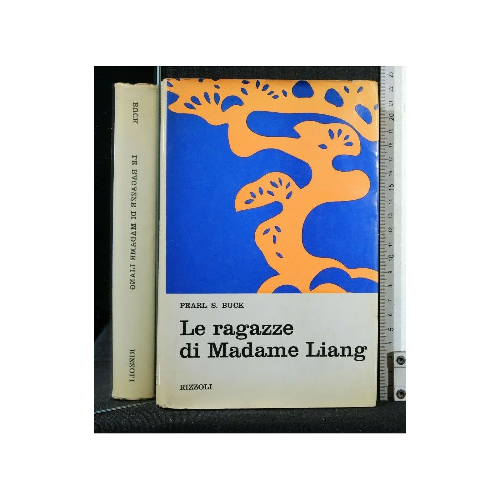 LE RAGAZZE DI MADAME LIANG