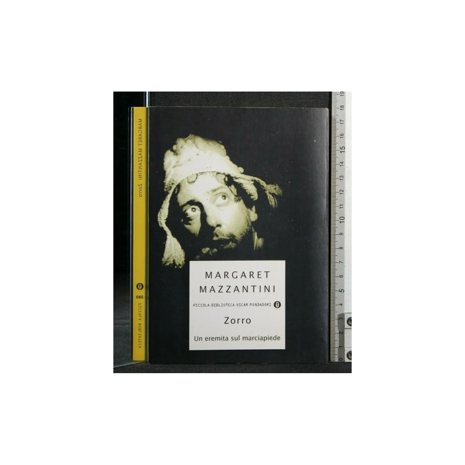 ZORRO UN EREMITA SUL MARCIAPIEDE