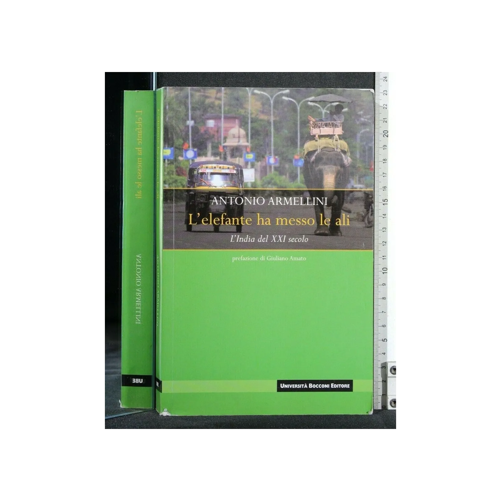 L'ELEFANTE HA MESSO LE ALI