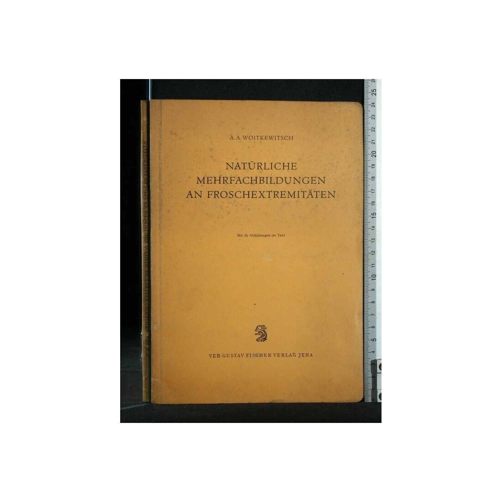 NATURLICHE MEHRFACHBILDUNGEN AN FROSCHEXTREMITATEN