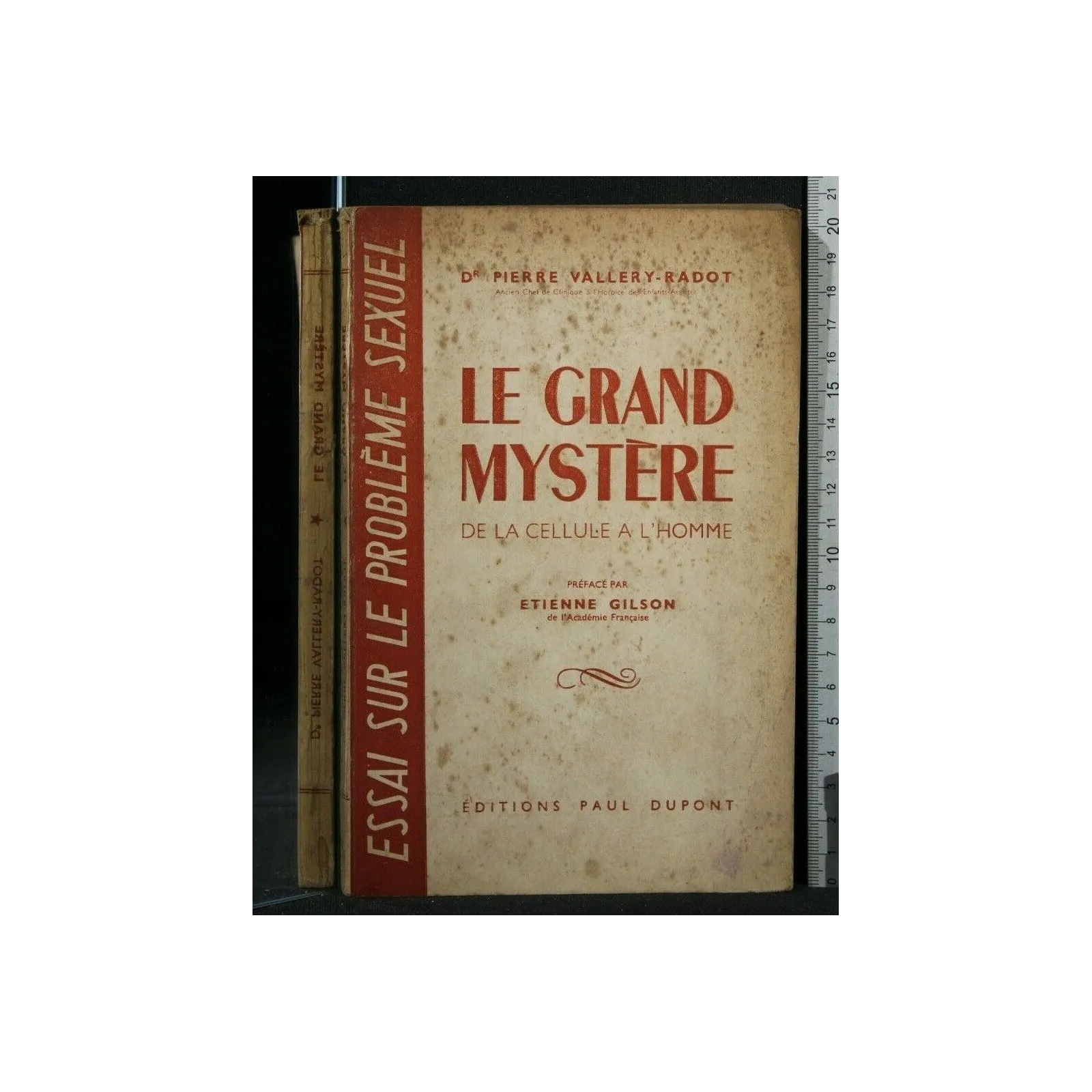 LE GRAND MYSTERE DE LA CELLULE A L'HOMME