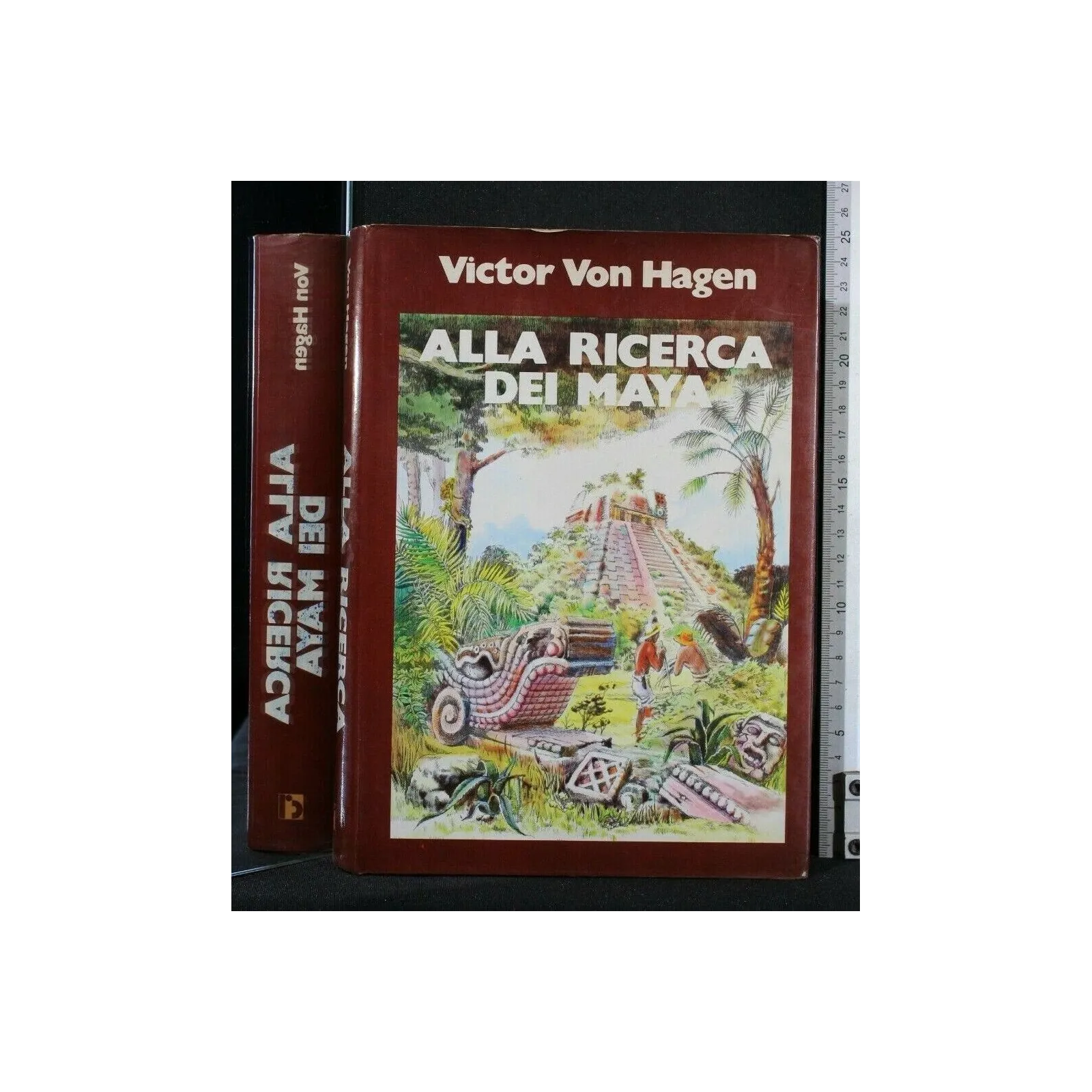 ALLA RICERCA DEI MAYA