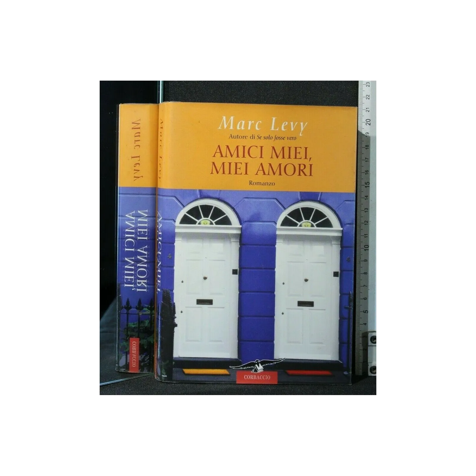 AMICI MIEI, MIEI AMORI